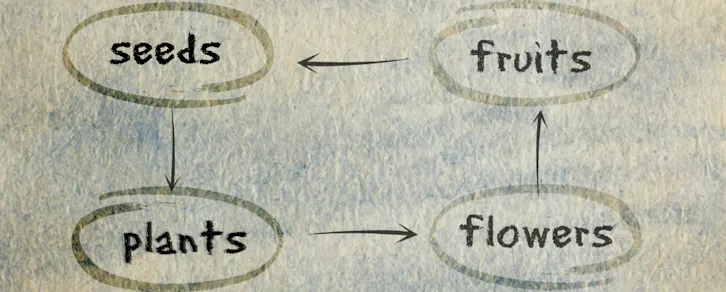 Reproduction In Plants Chalees Min School
